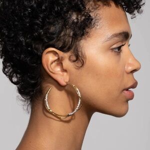 Designer Alexis Bittar Earrings - brand new!